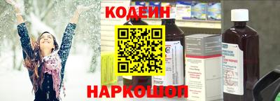 apvp Кингисепп