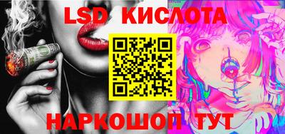 apvp Кингисепп