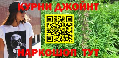 apvp Кингисепп