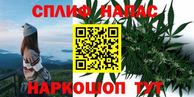 дмт Кимры