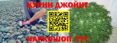 apvp Кингисепп