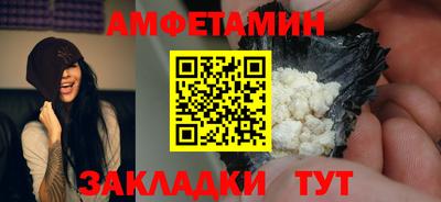 apvp Кингисепп