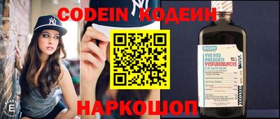 apvp Кингисепп